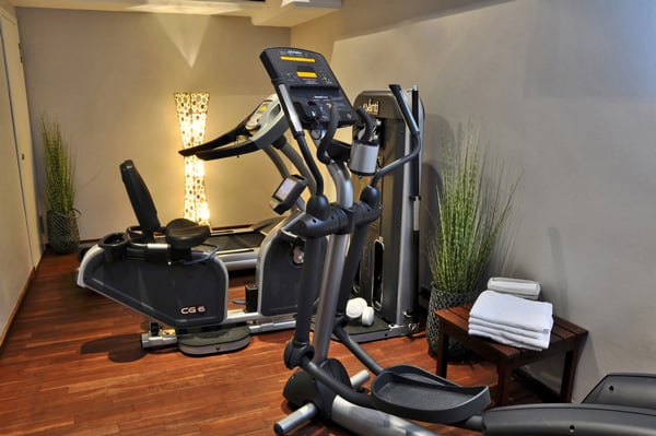 Modern wellness area with fitness room